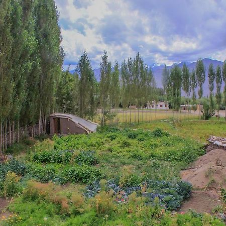 ليه Tsetan Guest House المظهر الخارجي الصورة
