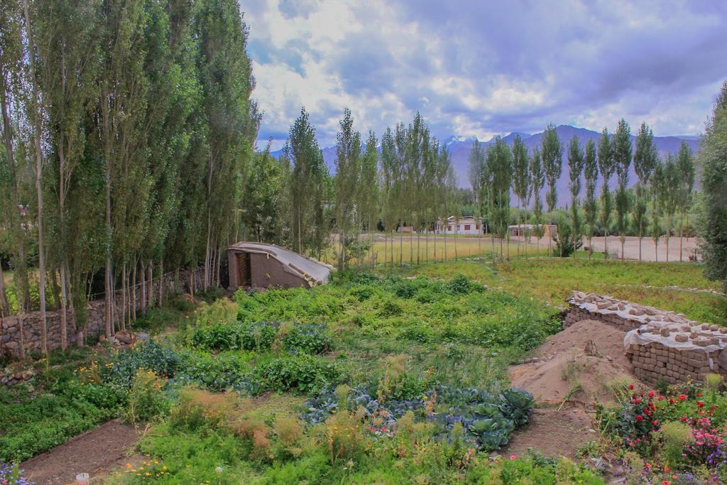 ليه Tsetan Guest House المظهر الخارجي الصورة